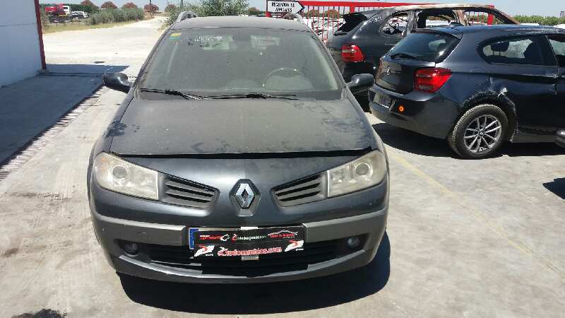 PAREJA NEUMATICO RENAULT MEGANE II FAMILIAR Authentique   |   0.03 - ...