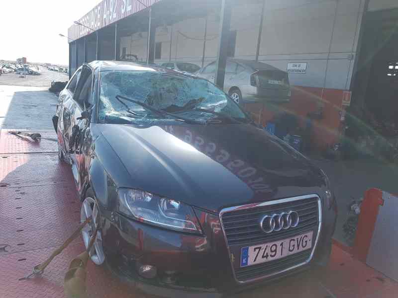 AUDI A3 (8P) 1.6 TDI Ambiente   |   05.09 - 12.12 foto 3
