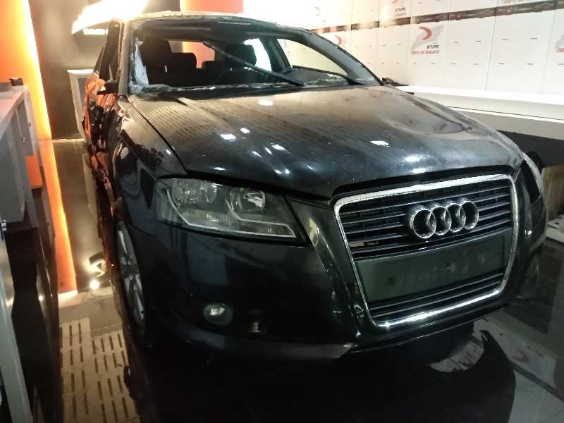AUDI A3 (8P) 1.6 TDI Ambiente   |   05.09 - 12.12 foto 7