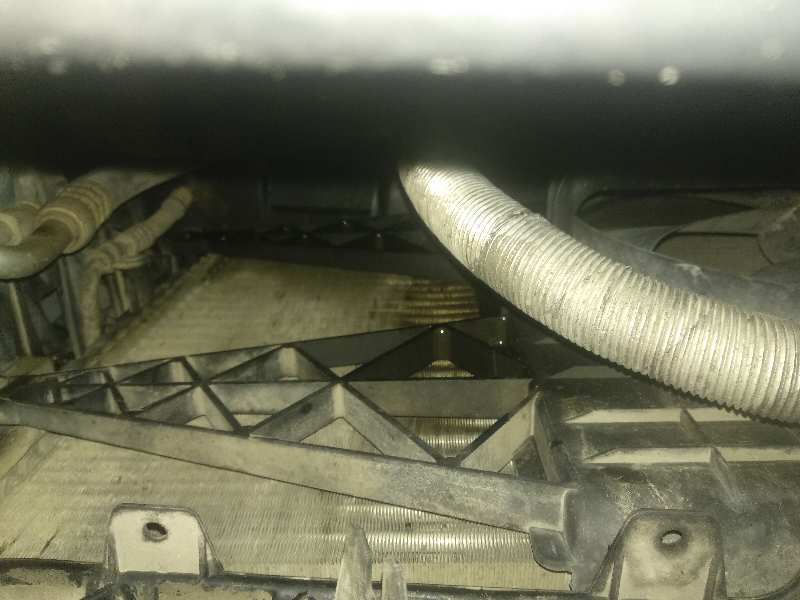RADIADOR AGUA SEAT CORDOBA BERLINA (6L2) Fresh   |   12.03 - 12.04