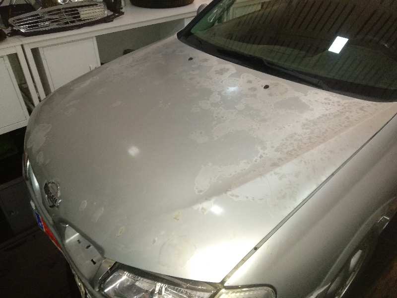 CAPO NISSAN ALMERA (N16/E) Ambience   |   0.00 - ...