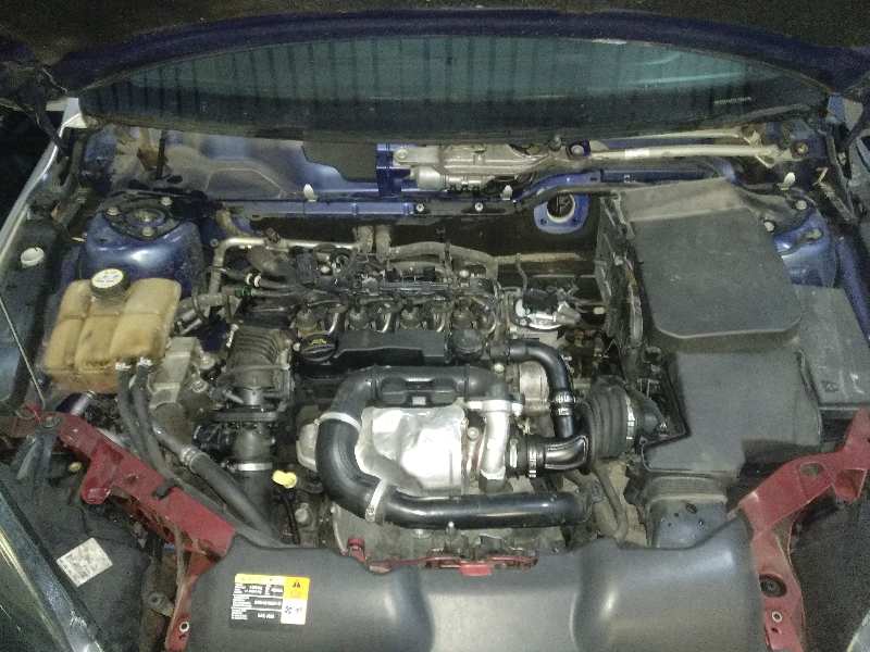 FORD FOCUS BERLINA (CAP) Ambiente (D) Motor 1,6 Ltr. - 66 kW TDCi CAT foto 3