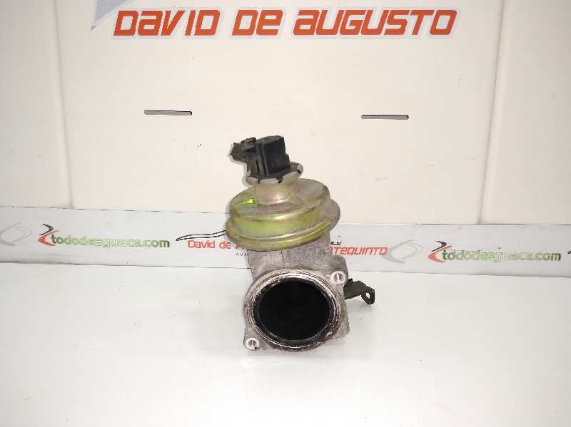 VALVULA EGR FORD TRANSIT CAJA CERRADA, CORTA (FY) (2000 =>) FT  330   2.4   |   08.00 - 12.06
