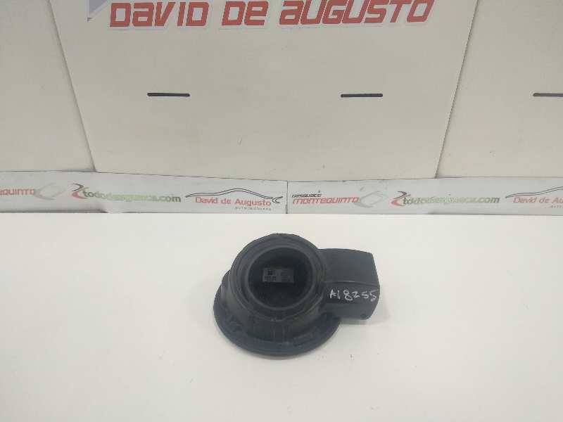 TAPA EXTERIOR COMBUSTIBLE FORD FIESTA (CBK) Ambiente   |   11.01 - ...
