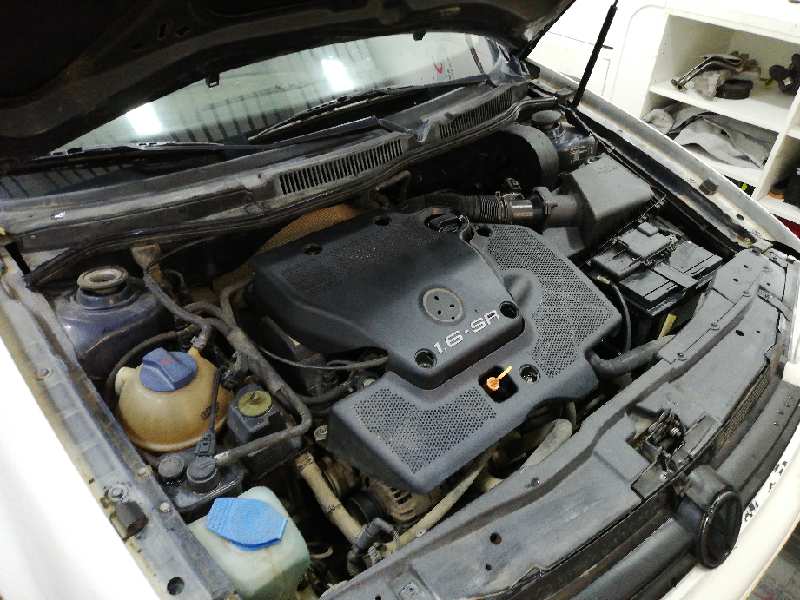 VOLKSWAGEN GOLF IV BERLINA (1J1) Básico Motor 1,6 Ltr. - 74 kW foto 6