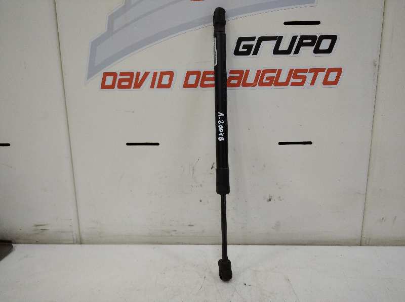 AMORTIGUADOR CAPO BMW X6 (F16) xDrive40d