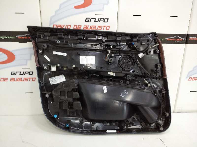 PAÑO DE PUERTA BMW X6 (F16) xDrive40d