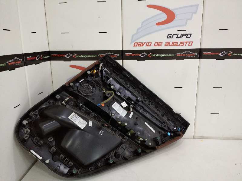 PAÑO DE PUERTA BMW X6 (F16) xDrive40d