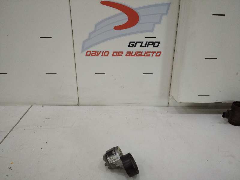 RODILLO TENSOR