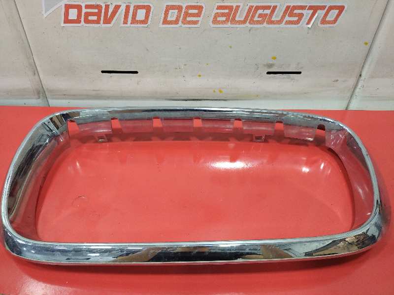 PARRILLA RADIADOR IZQ. BMW X6 (F16) xDrive40d