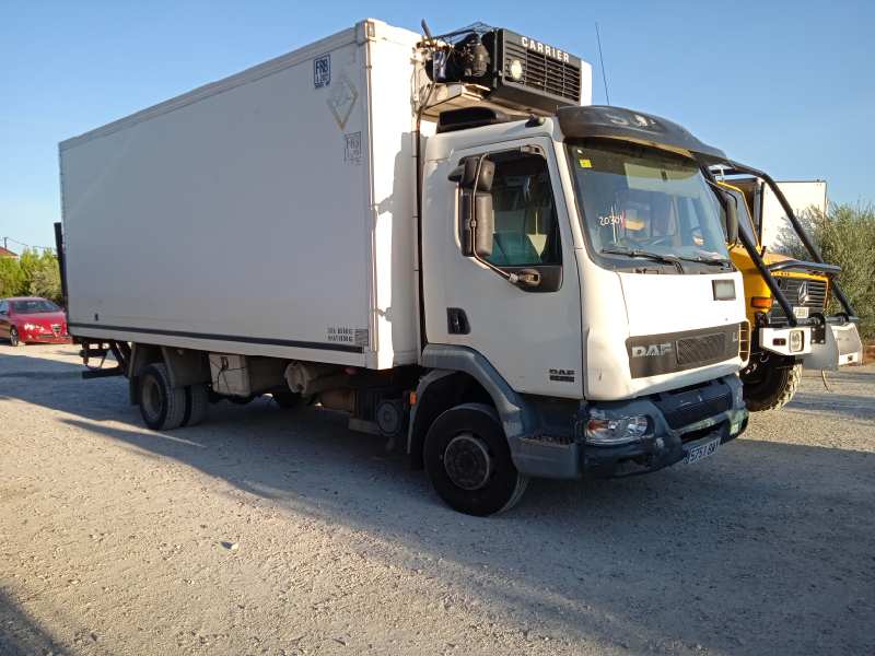 DAF SERIE LF45 DESDE 01 FG  LF 45 E 10 - 220 FA Larga distancia   |   01.01 - 12.06 foto 3