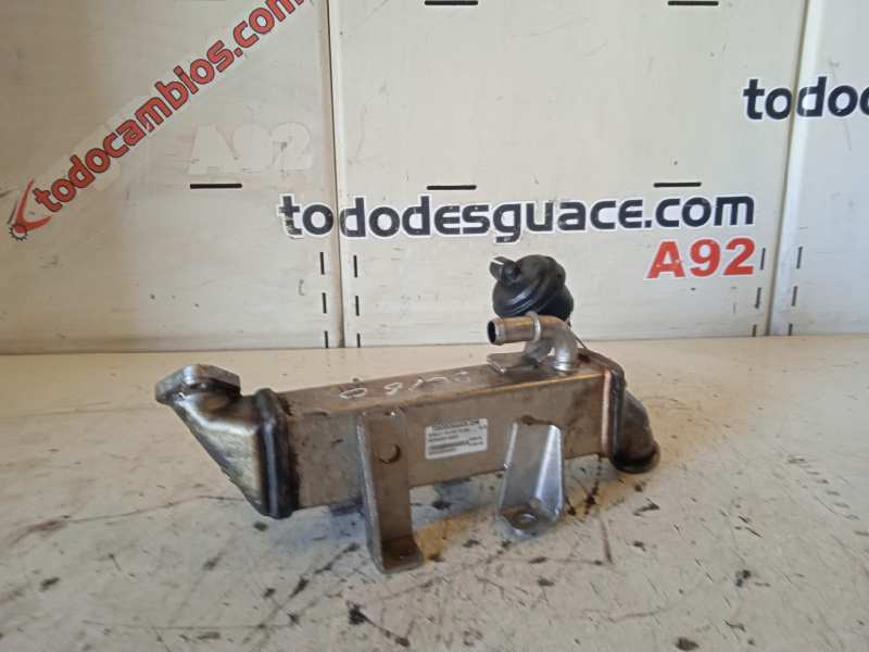 ENFRIADOR GASES RENAULT KOLEOS Privilege   |   06.08 - 12.15