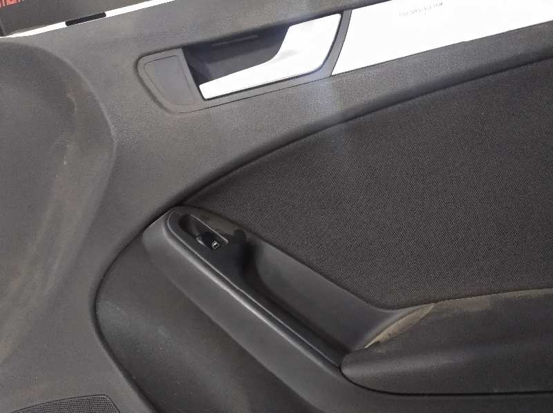 PAÑO PUERTA DELANTERO DERECHO foto 2
