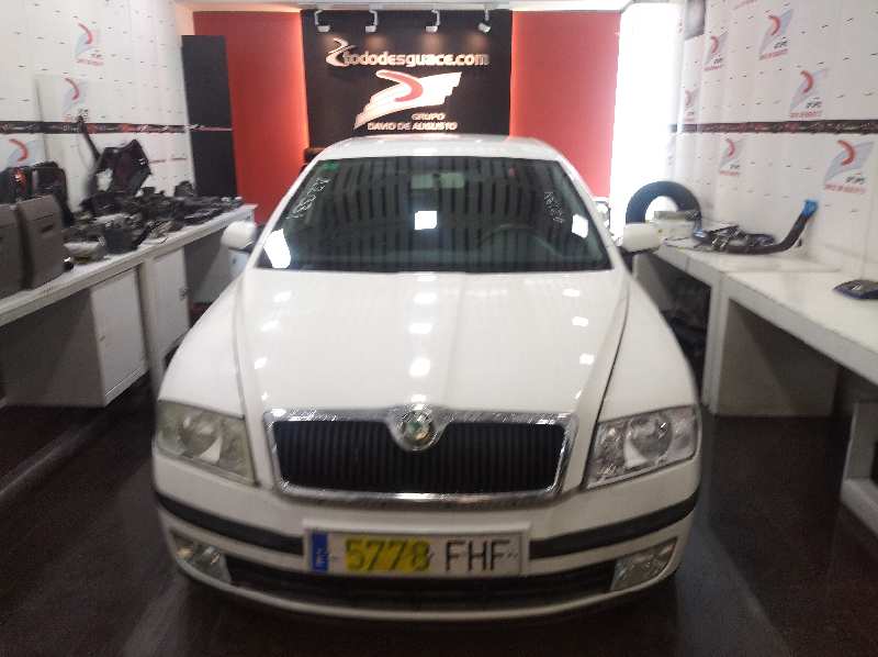 SKODA OCTAVIA BERLINA (1Z3) Active   |   0.04 - ...