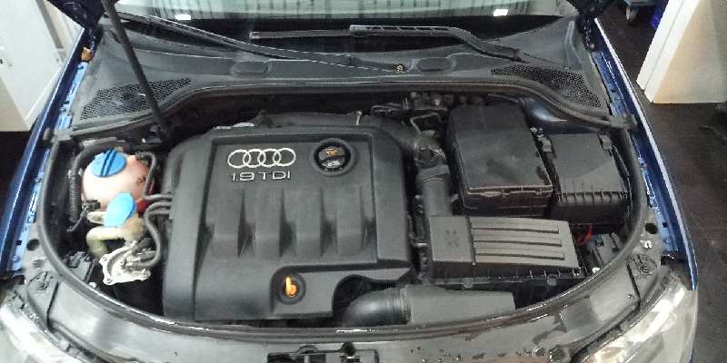 AUDI A3 (8P) 1.9 TDI Ambiente   |   05.03 - 12.09