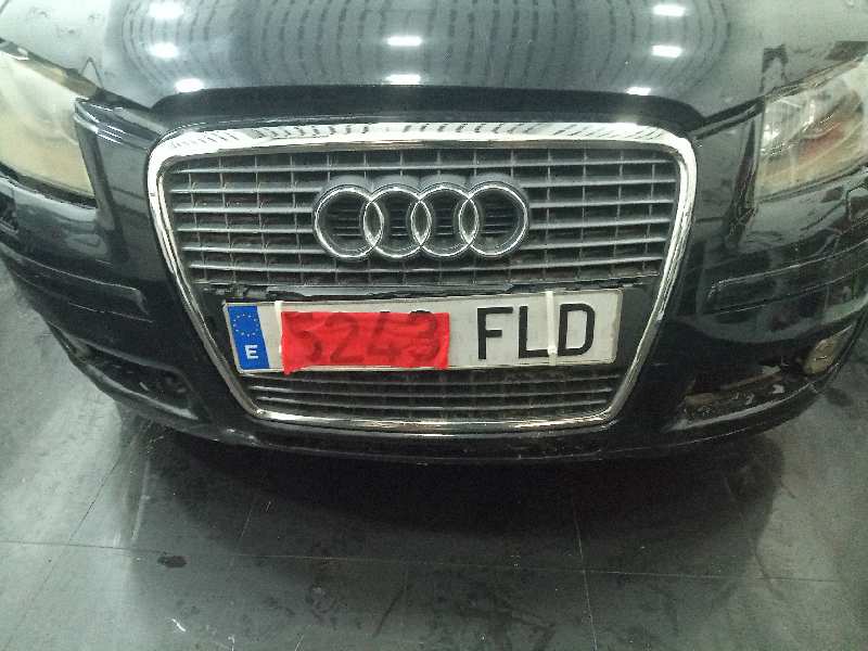 AUDI A3 SPORTBACK (8P) 1.9 TDI Ambiente   |   09.04 - 12.09 foto 11
