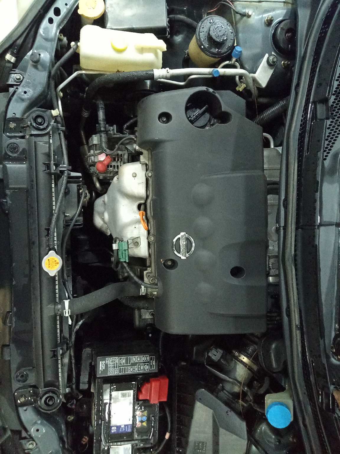 NISSAN PRIMERA BERLINA (P12) Visia   |   05.02 - ...