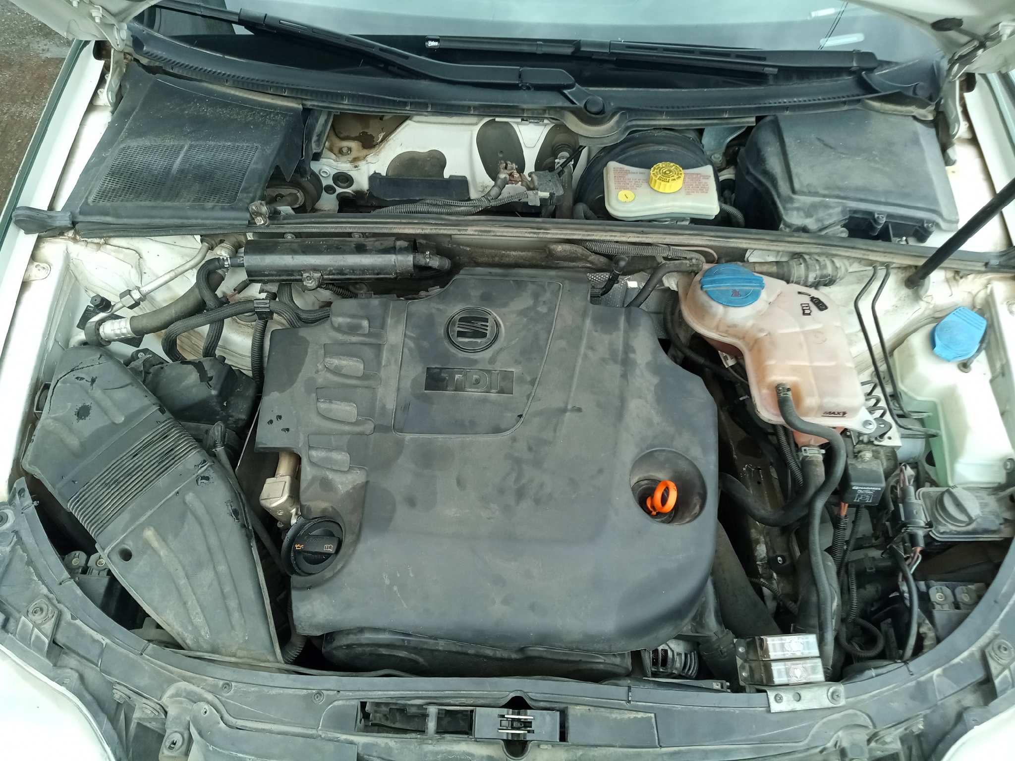 SEAT EXEO BERLINA (3R2) Last Edition   |   06.13 - 12.13
