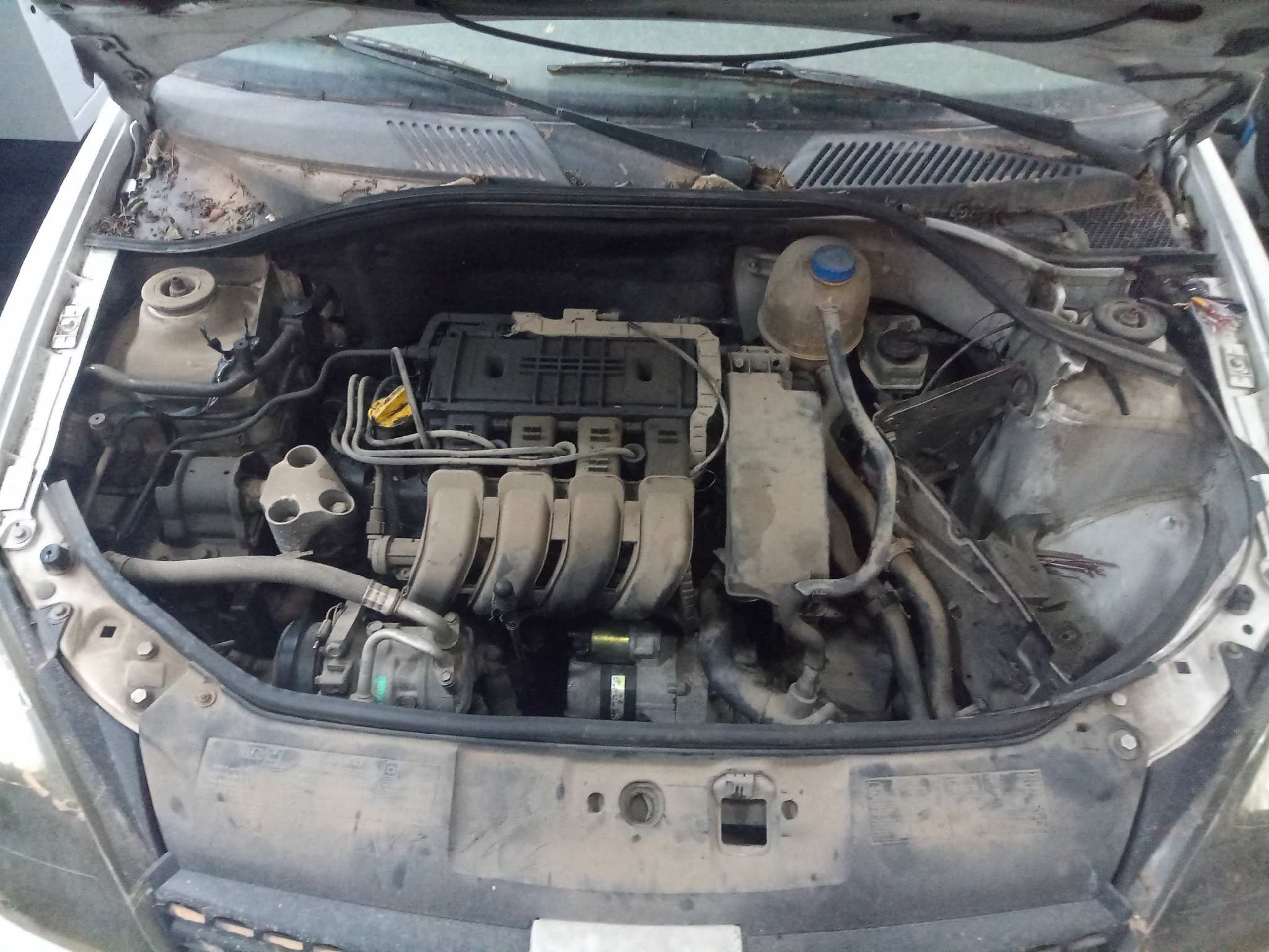 RENAULT CLIO II FASE II (B/CB0) Authentique   |   06.01 - 12.08
