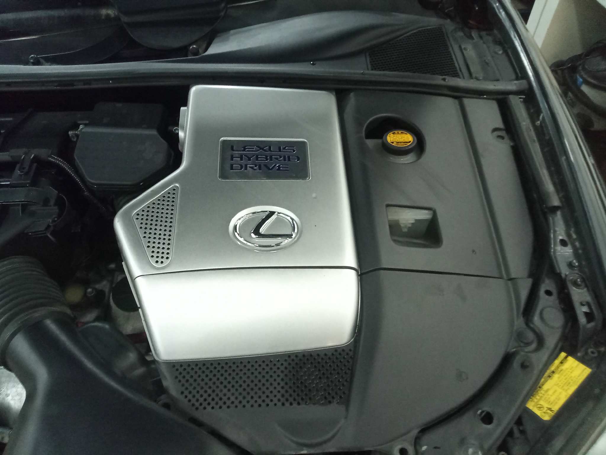 LEXUS RX 400h   |   04.05 - 12.09