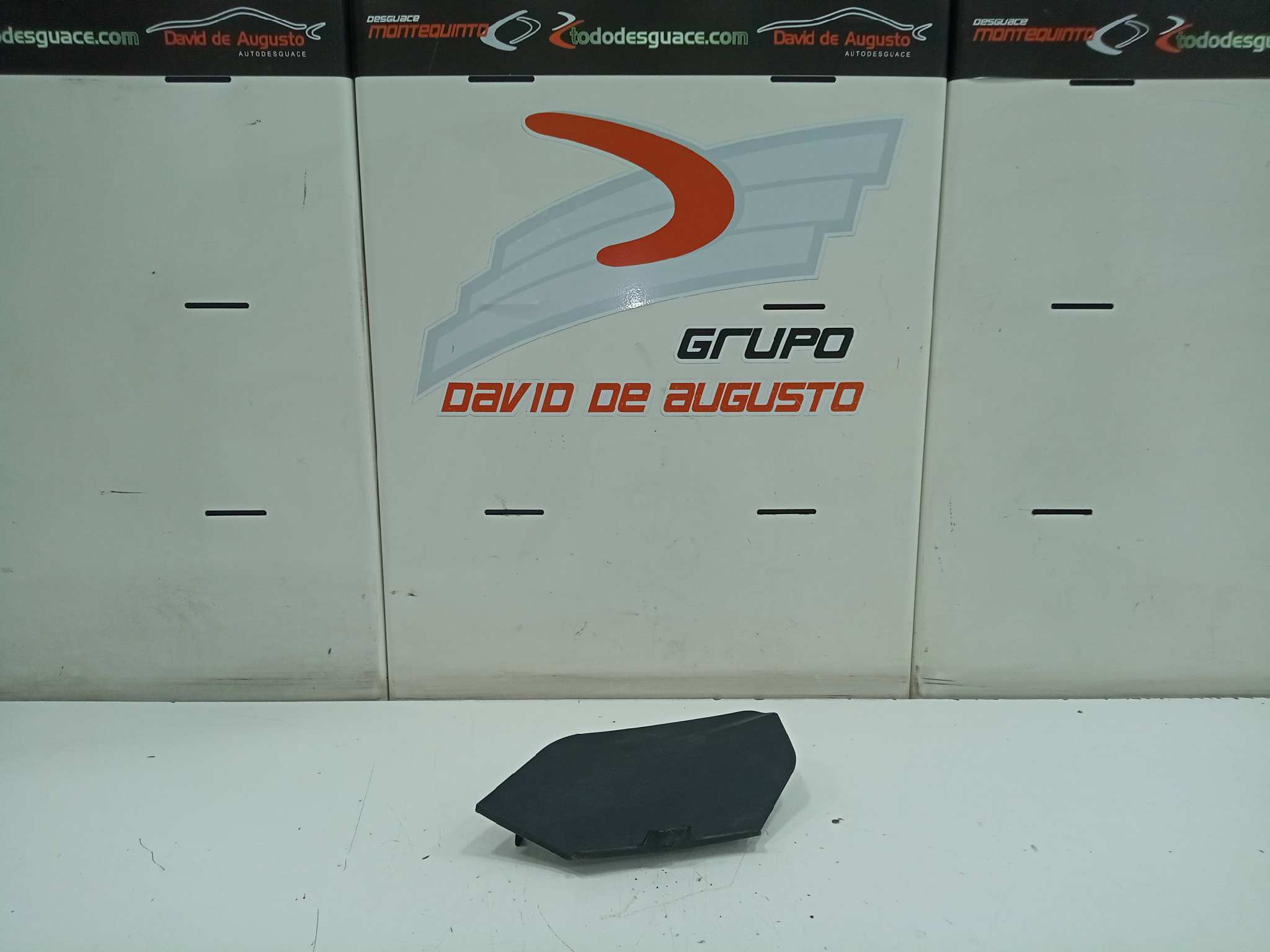 TAPA CAJA FUSIBLES foto 4
