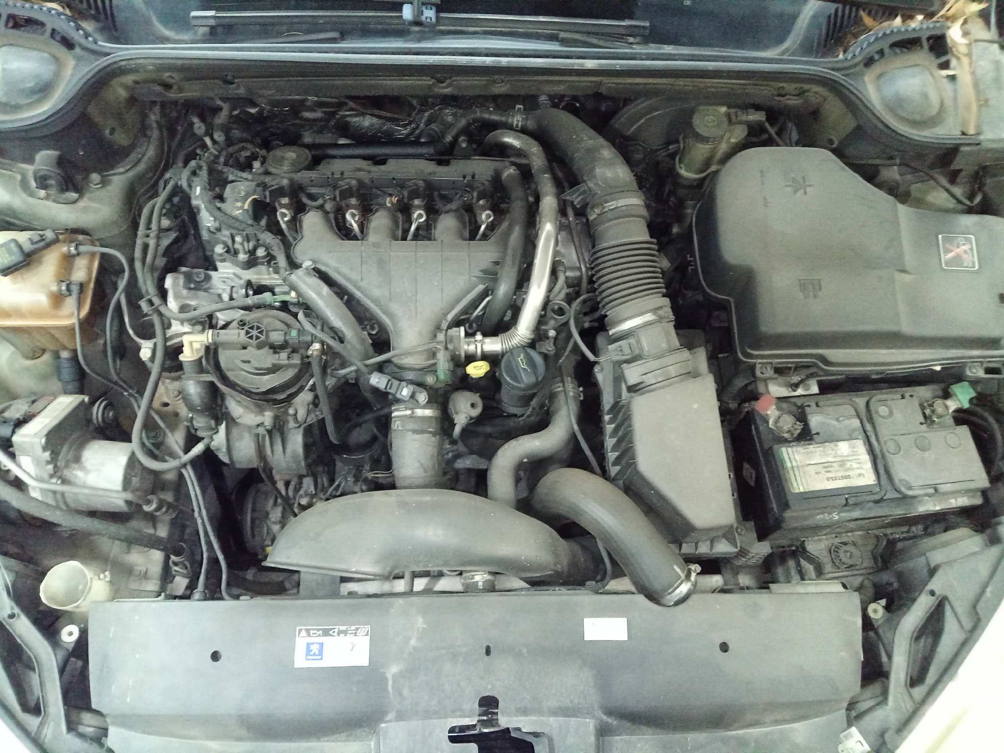PEUGEOT 407 SW Premium   |   05.04 - 12.09