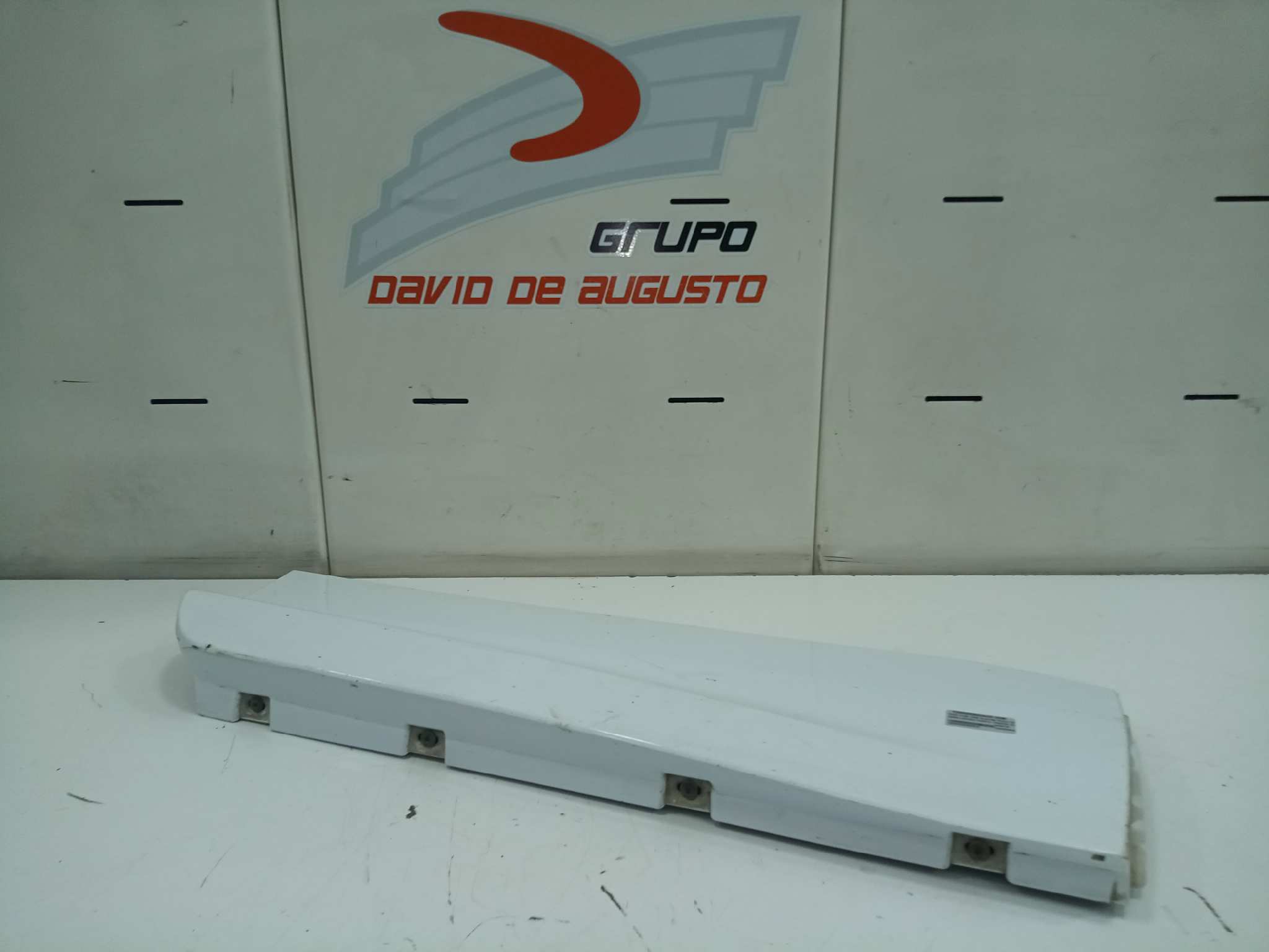 EMBELLECEDOR PUERTA TRASERA DERECHA foto 3