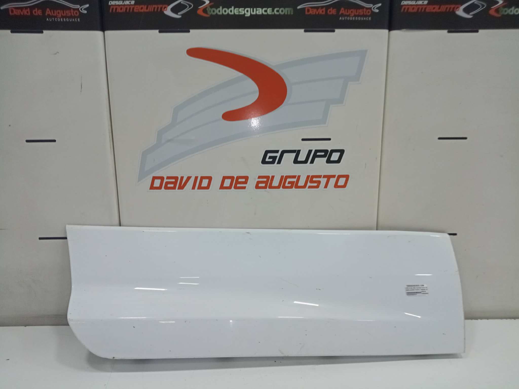 EMBELLECEDOR PUERTA TRASERA DERECHA foto 4