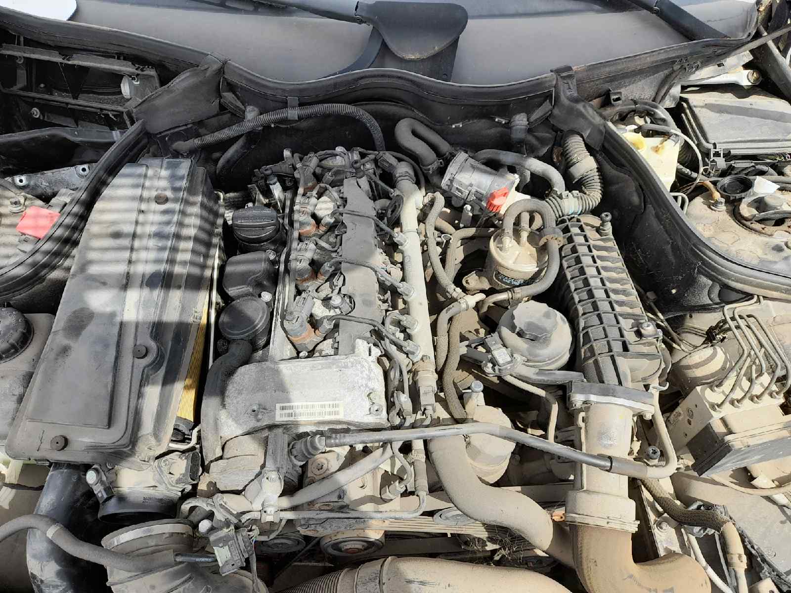 MERCEDES CLASE C (W203) BERLINA 220 CDI (LA) (203.008)   |   04.03 - 12.06 foto 11