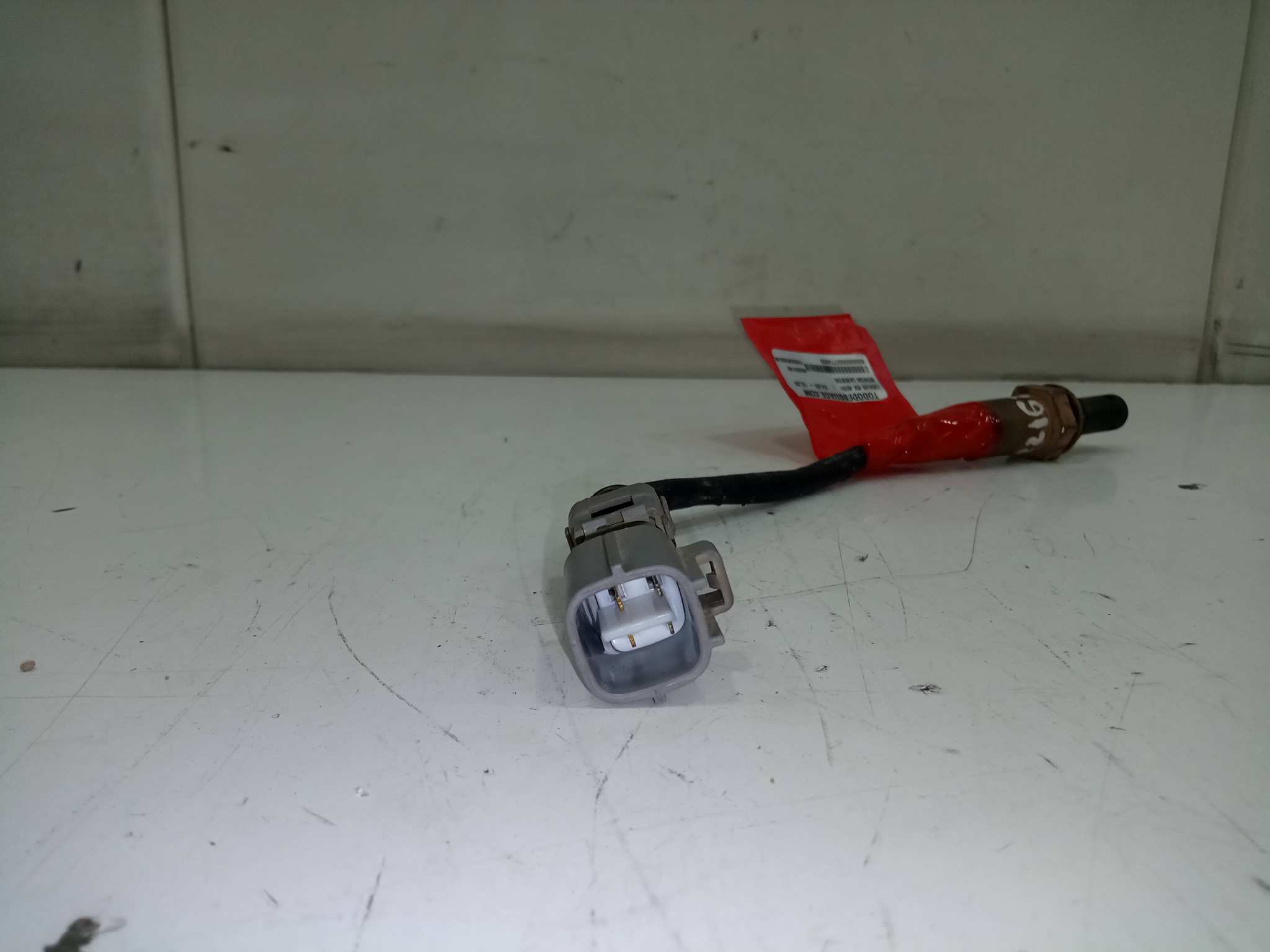 SONDA LAMBDA foto 3