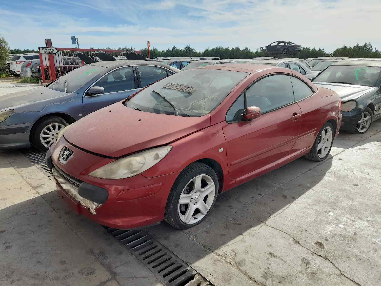PEUGEOT 307 CC (S1) *   |   ... foto 8