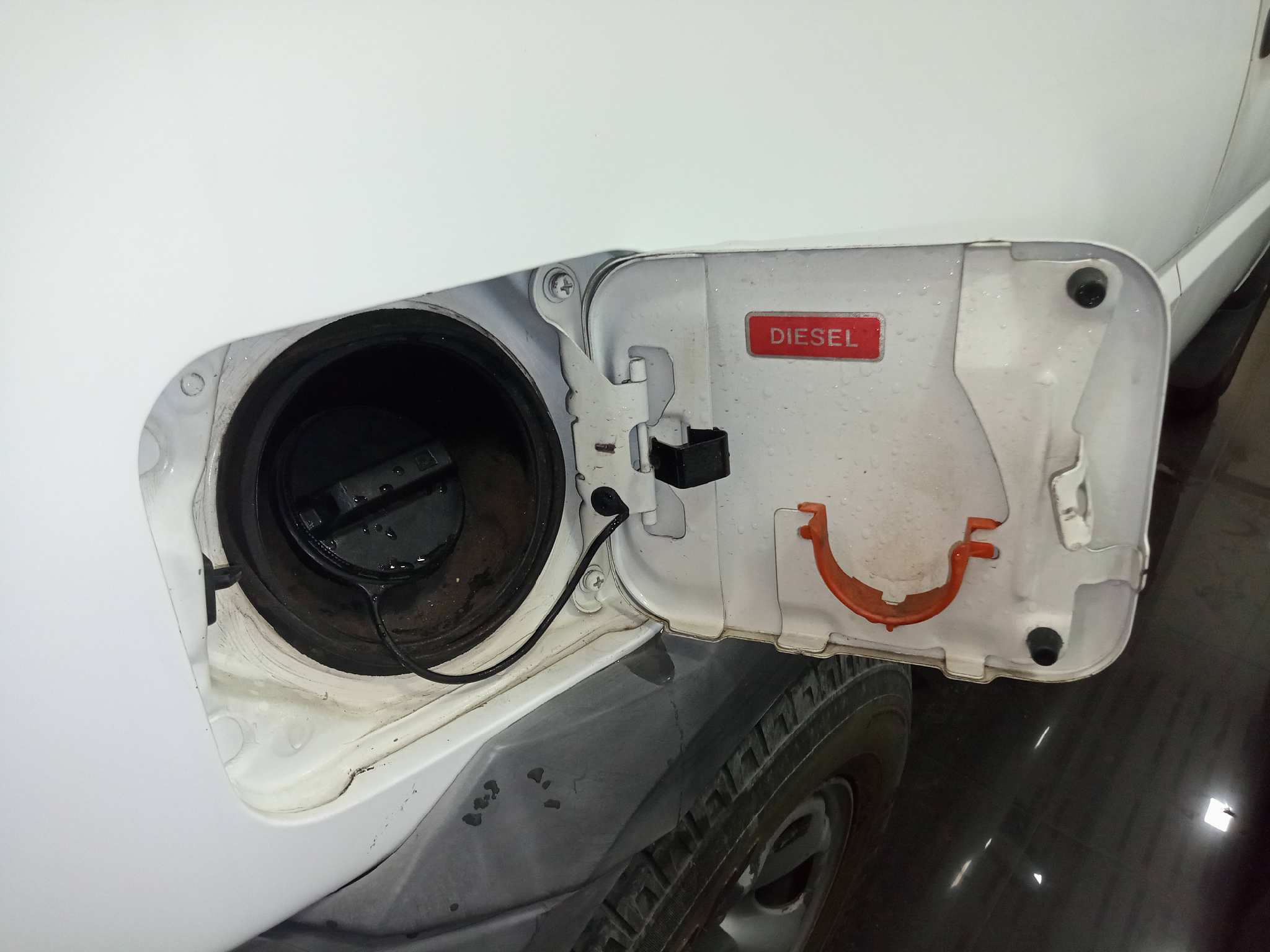 NISSAN TERRANO/TERRANO.II (R20) Avenue   |   12.96 - ...