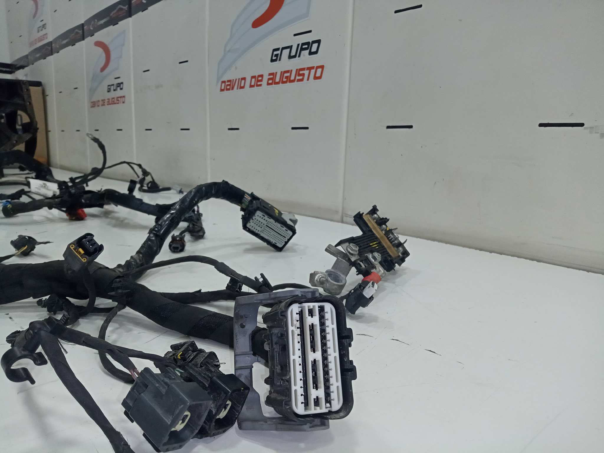 INSTALACION ELECTRICA MOTOR FORD TOURNEO CONNECT Titanium   |   06.18 - 12.20