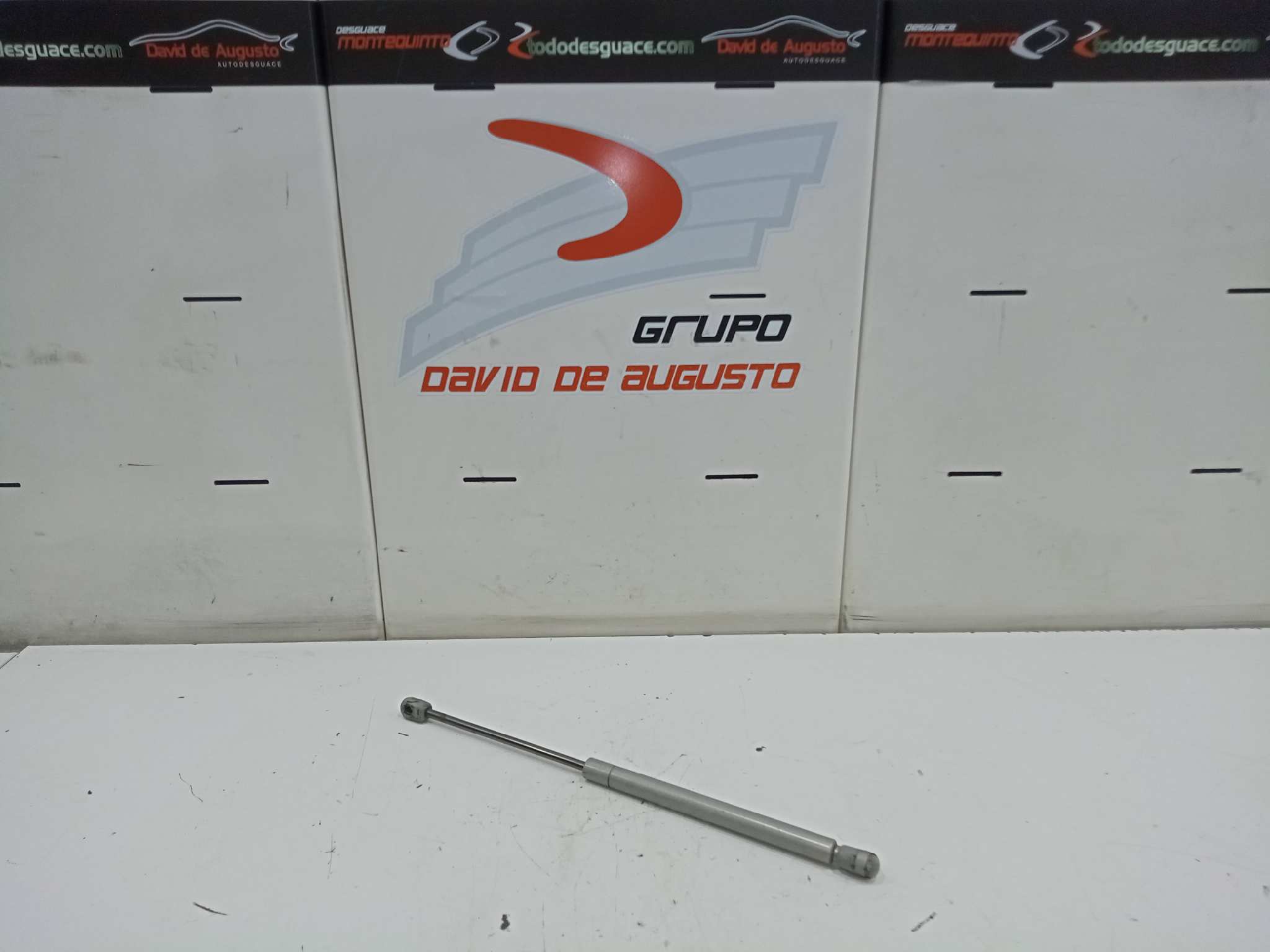 AMORTIGUADOR CAPO RENAULT T 460 DTI 11 460 EURO VI