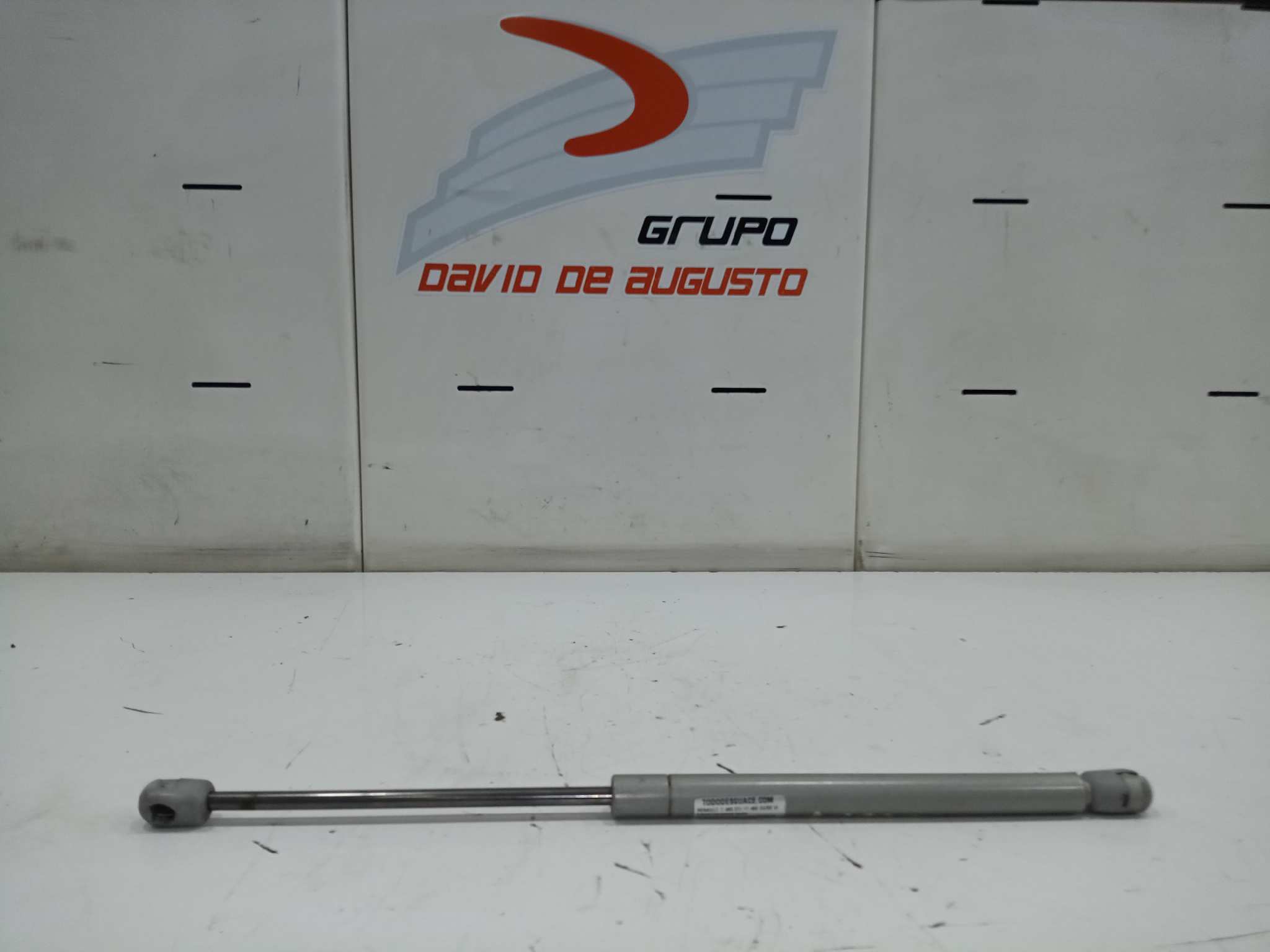 AMORTIGUADOR CAPO RENAULT T 460 DTI 11 460 EURO VI