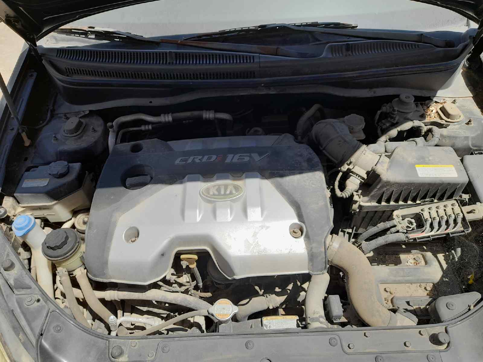 KIA RIO *   |   0.05 - ... foto 5