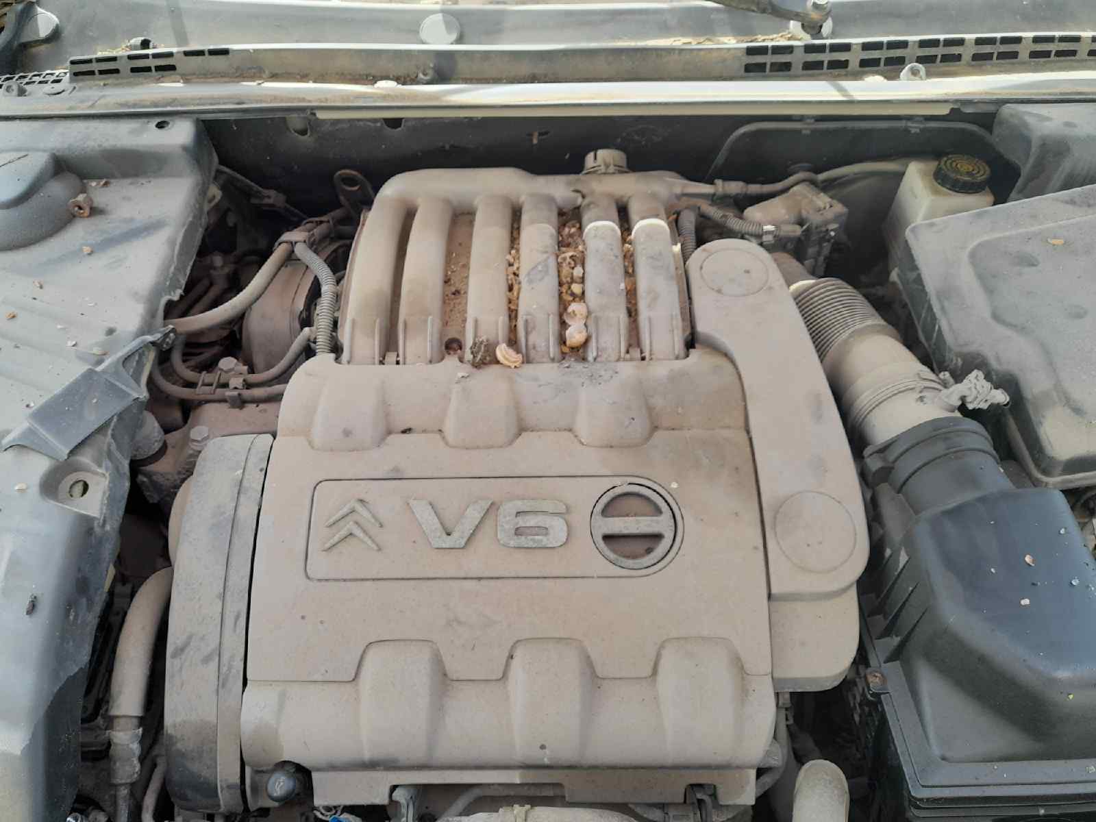 CITROEN C5 BERLINA *   |   0.04 - 0.08 foto 4