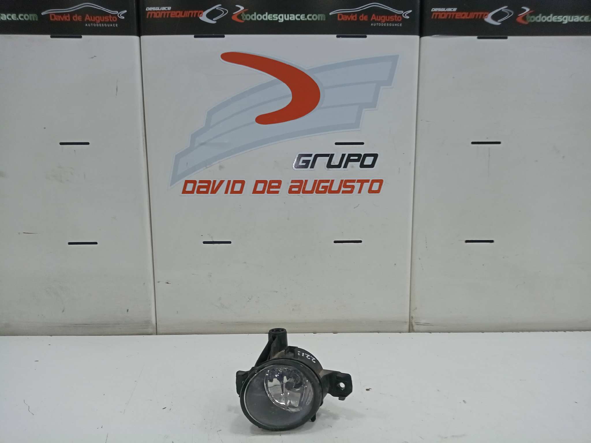 FARO ANTINIEBLA IZQUIERDO BMW X5 (E70) 3.0d   |   10.06 - 12.08