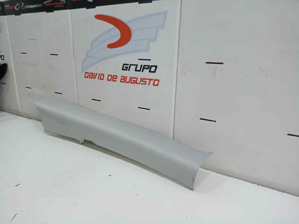 GUARNECIDO PILAR C INTERIOR IZQUIERDA TESLA MODEL 3 BEV LONG RANGE AWD