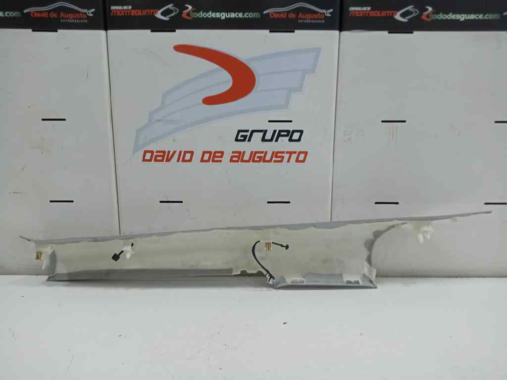 GUARNECIDO PILAR C INTERIOR IZQUIERDA TESLA MODEL 3 BEV LONG RANGE AWD
