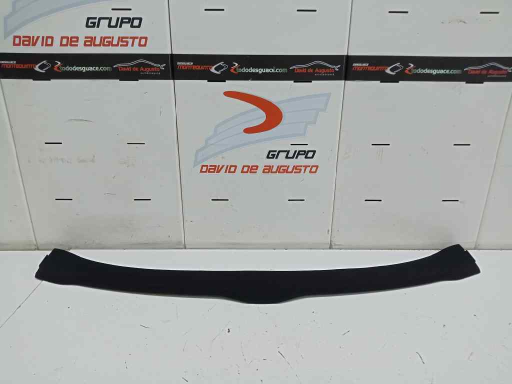 REJILLA LUNA FRONTAL TESLA MODEL 3 BEV LONG RANGE AWD