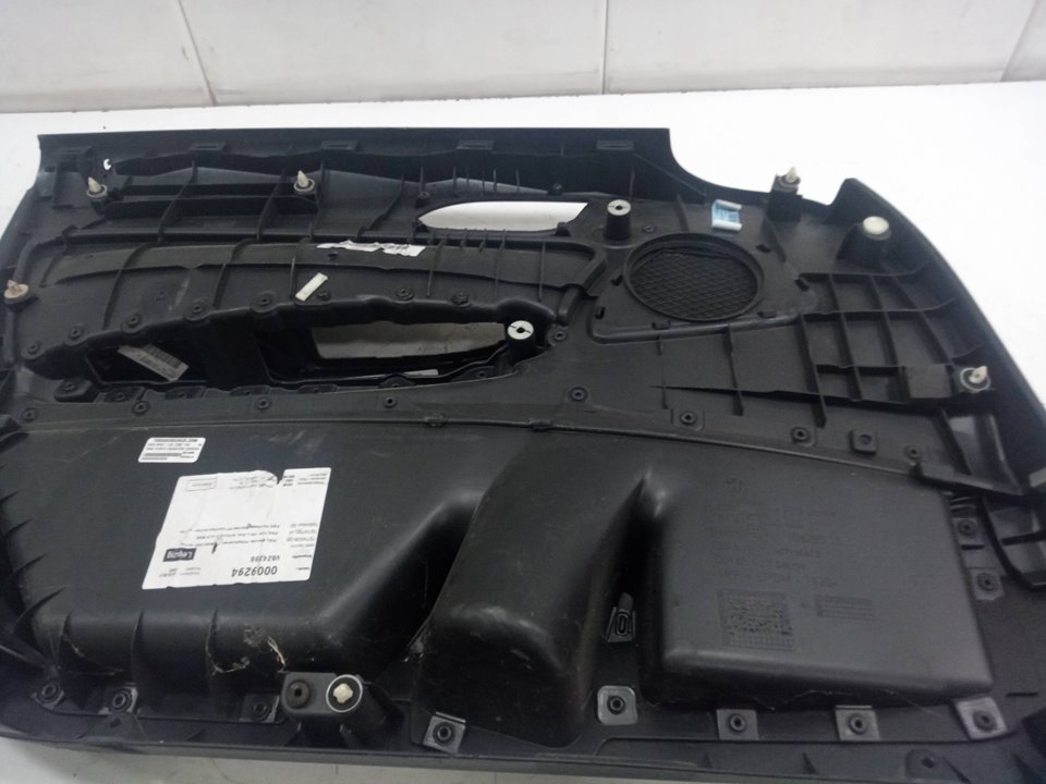 PAÑO PUERTA DELANTERO DERECHO foto 2