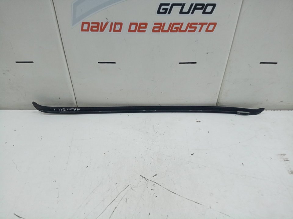 EMBELLECEDOR PUERTA DELANTERA DERECHA BMW X6 (E71) 3.0 Turbodiesel CAT