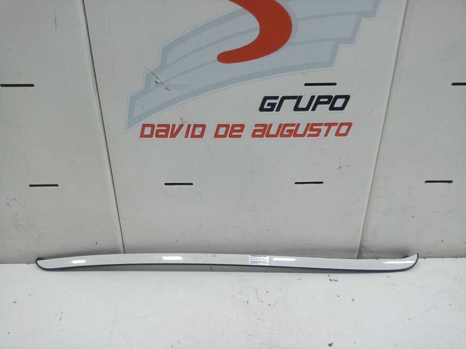 EMBELLECEDOR PUERTA DELANTERA DERECHA BMW X6 (E71) 3.0 Turbodiesel CAT