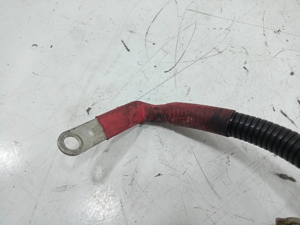 CABLE BATERIA BMW X6 (E71) 3.0 Turbodiesel CAT