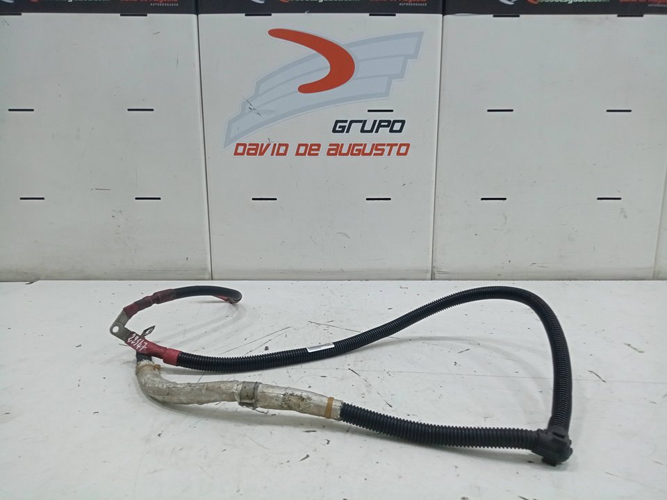 CABLE BATERIA BMW X6 (E71) 3.0 Turbodiesel CAT