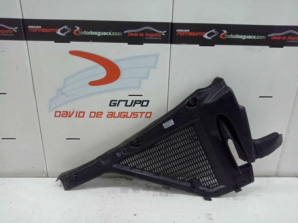 PLASTICO OVAN BMW X6 (E71) 3.0 Turbodiesel CAT