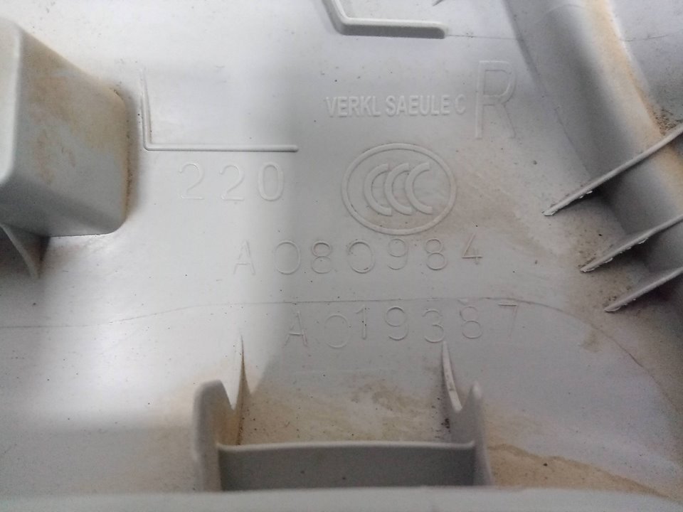 GUARNECIDO ASIENTO TRASERO DERECHO AUDI Q3 (8UG) Attraction   |   01.15 - 12.18
