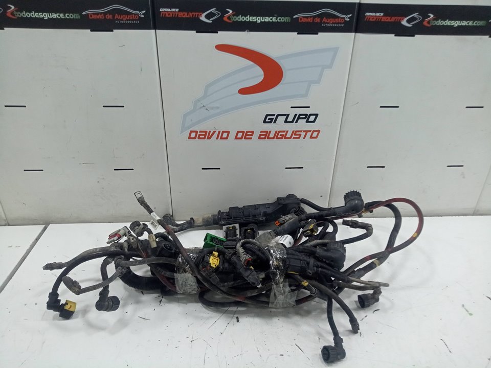 CABLES COMPLETOS  MOTOR RENAULT T 460 DTI 11 460 EURO VI