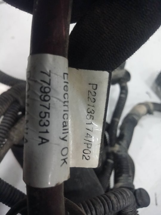 CABLES COMPLETOS  MOTOR RENAULT T 460 DTI 11 460 EURO VI